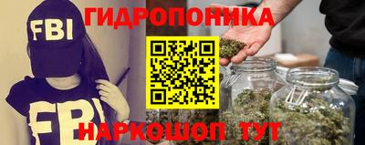 шишки Будённовск