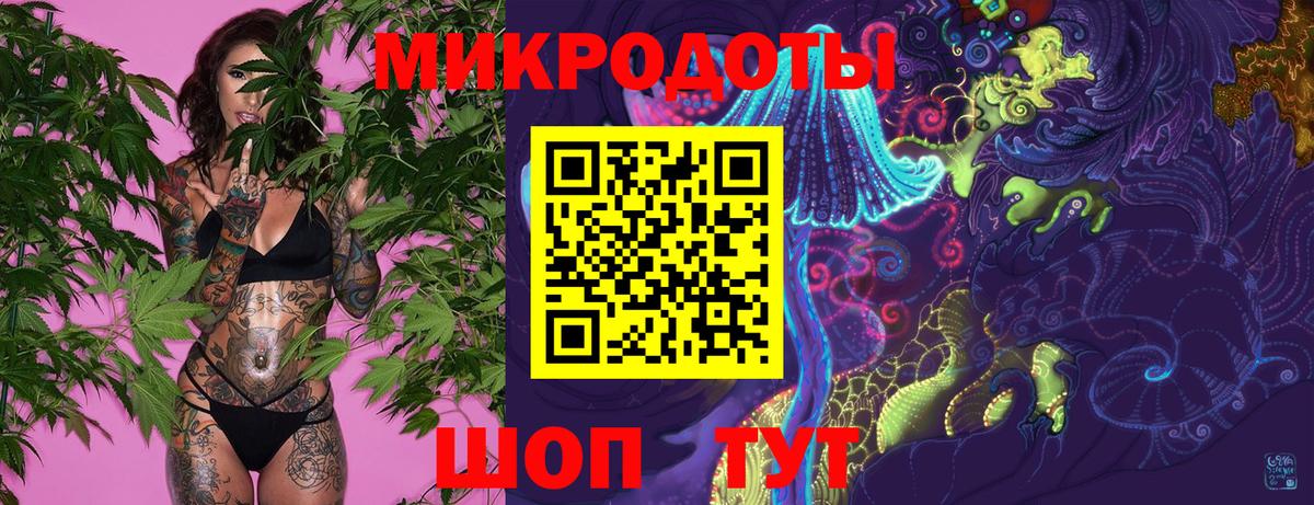 Галлюциногенные грибы Psilocybe Соль-Илецк
