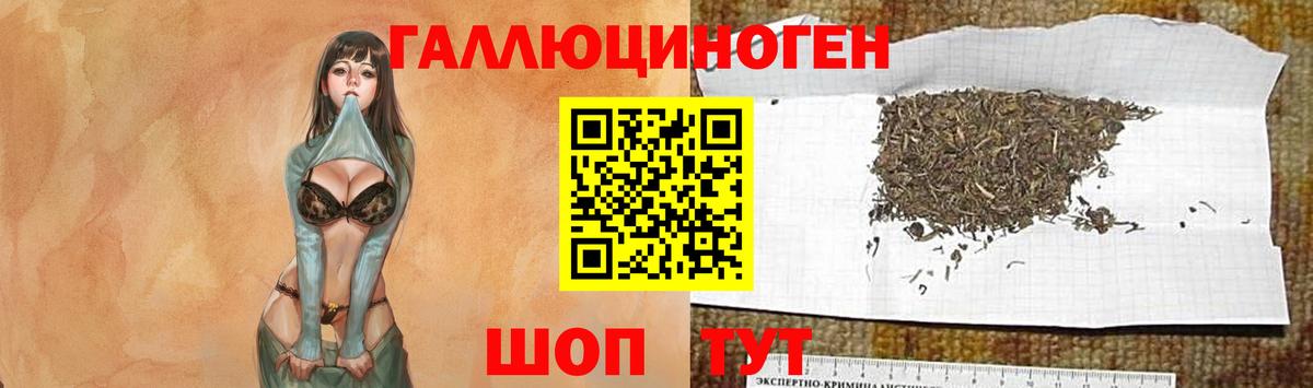 Псилоцибиновые грибы мухоморы  сколько стоит  Вход с VPN  Соль-Илецк  Псилоцибиновые грибы Cubensis 